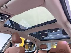 BYD 2.0HG Premium Edition - ფოტო 15