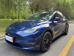Tesla Model Y Performance Edition - ფოტო 1