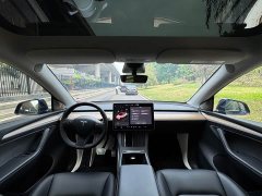 Tesla Model Y Performance Edition - ფოტო 13