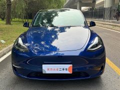 Tesla Model Y Performance Edition - ფოტო 2