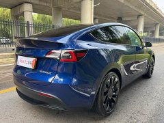 Tesla Model Y Performance Edition - ფოტო 6