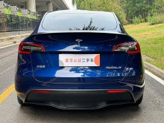 Tesla Model Y Performance Edition - ფოტო 7