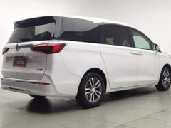 Buick GL8 ES Deluxe Version - ფოტო 4