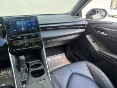 2.5L Luxury Edition - ფოტო 8