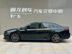 2.5L 2.0HSE Lite Edition - ფოტო 3
