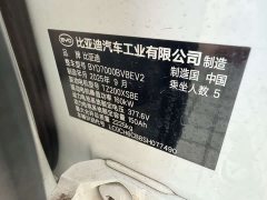 BYD L EV 545KM Version - ფოტო 9