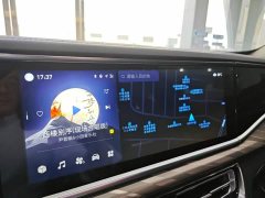 FAW H9 2.0T Edition - ფოტო 7