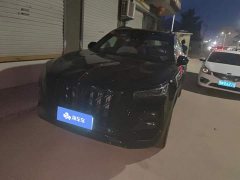 FAW HS5 2.0T 2WD Edition - ფოტო 1