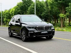 BMW X5 xDrive 30Li Deluxe VersionM - ფოტო 3