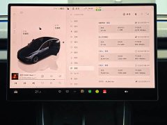 Tesla Model Y L Long Range Edition - ფოტო 10