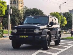Tank 300 Off-Road Edition 2.0T - ფოტო 1