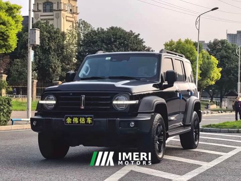 2021 Tank 300 Off-Road Edition 2.0T - ავტომობილი ჩინეთიდან