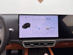 Li Auto L6 Pro - ფოტო 12