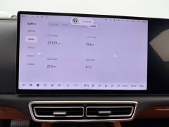 Li Auto L6 Pro - ფოტო 14