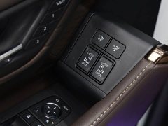 Lexus 2.5L Edition - ფოტო 10