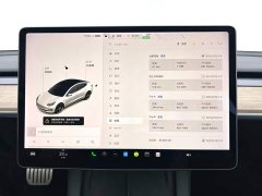 Tesla Model 3 PerformancePerformance Edition 3D6 - ფოტო 12