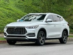 BYD PLUS 1.5T Premium Version - ფოტო 1