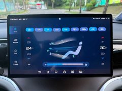 BYD Pro DM-i 110km Flagship VersionPro - ფოტო 14