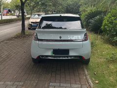 Baojun 460 Max - ფოტო 4