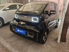 BYD KiWi EV Edition - ფოტო 1