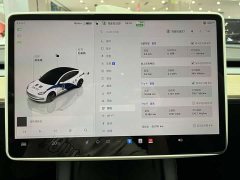 Tesla Model 3 Edition - ფოტო 18