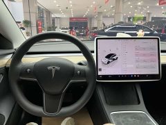 Tesla Model 3 Edition - ფოტო 19