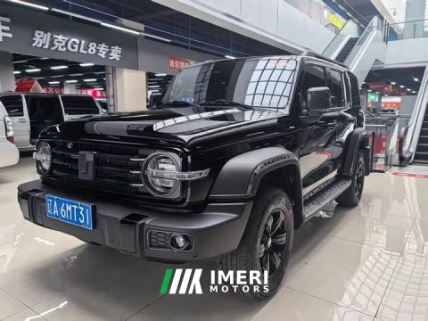 2024 Tank 300 2.0T - ავტომობილი ჩინეთიდან
