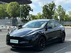 Tesla Model Y Edition - ფოტო 1