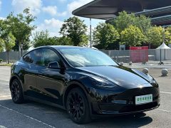 Tesla Model Y Edition - ფოტო 11