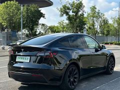 Tesla Model Y Edition - ფოტო 13