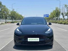 Tesla Model Y Edition - ფოტო 2