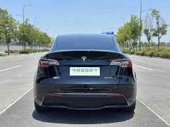 Tesla Model Y Edition - ფოტო 8