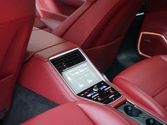 Porsche Panamera 2.9T - ფოტო 19