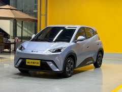 BYD 405km Edition - ფოტო 1