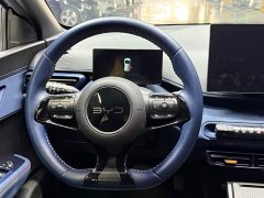 BYD 405km Edition - ფოტო 13