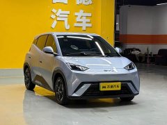 BYD 405km Edition - ფოტო 3