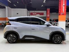 BYD 405km Edition - ფოტო 4