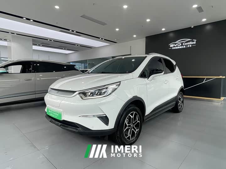 BYD Pro 401KM Premium Version - ავტომობილი ჩინეთიდან