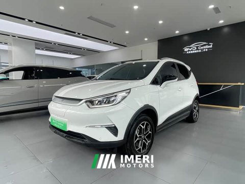 2021 BYD Pro 401KM Premium Version - ავტომობილი ჩინეთიდან