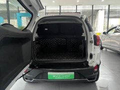 BYD Pro 401KM Premium Version - ფოტო 14