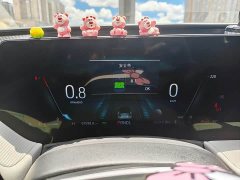 BYD EcoBoost 245 Fashion Version - ფოტო 7