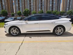 BYD EcoBoost 245 Fashion Version - ფოტო 8