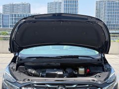 Buick GL8 ES Deluxe Version - ფოტო 11
