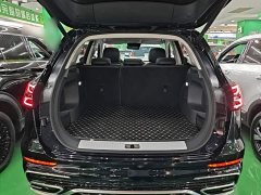 FAW HS5 2.0T Pro Edition - ფოტო 19