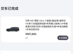 AITO M9 EREV Ultra Edition 52kWh 6 Edition (192) - ფოტო 8