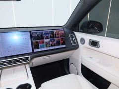 Li Auto L6 Pro - ფოტო 13