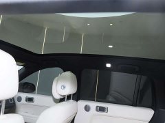 Li Auto L6 Pro - ფოტო 14