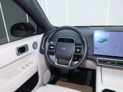 Li Auto L6 Pro - ფოტო 15