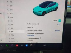 Tesla Model 3 Edition - ფოტო 11