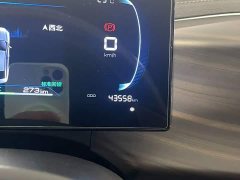 BYD PLUS Edition EV 420KM Version - ფოტო 12